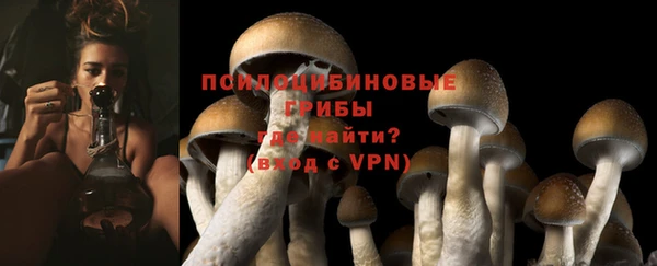 а пвп мука Вязьма