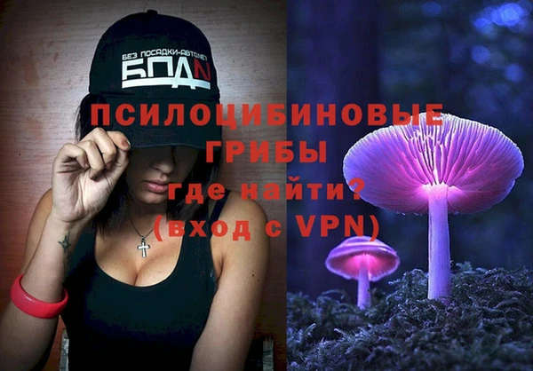 герыч Вяземский
