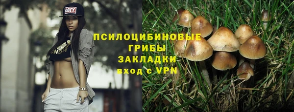 герыч Вяземский