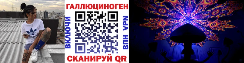 Купить где Можга Псилоцибиновые грибы Magic Shrooms