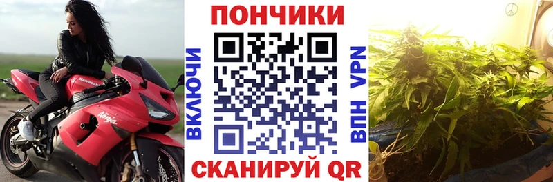 МАРИХУАНА сатива  Купить где  Можга 